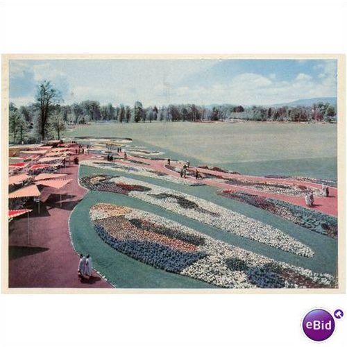 Germany postcard 1955 - Bundesgartenschau Kassel