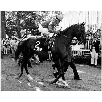 DVD - History of TRIPLE CROWN & Near-Misses...ALYDAR /Risen Star/WINNING COLORS