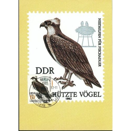 Germany SHS FDI Postcard 1982 - Hutzte Vogel