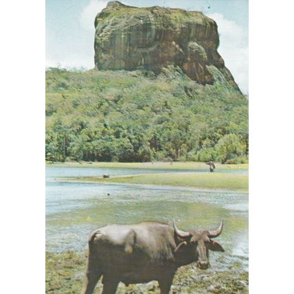 Rock Fortress Sigiriya Sri Lanka Postcard unused VGC