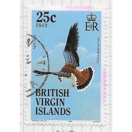 VIRGIN ISLANDS BRITISH 1985 BIRDS KILLY-KILLY FALCON FAUNA 25c USED IMPRINT 1985