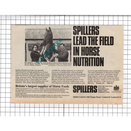 Mr John Manners Horse Red Alligator Denys Smith Trainer Spillers - 1968 Advert