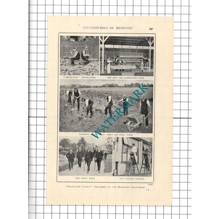 The National Sanatorium Benenden Kent - c.1914 Cutting