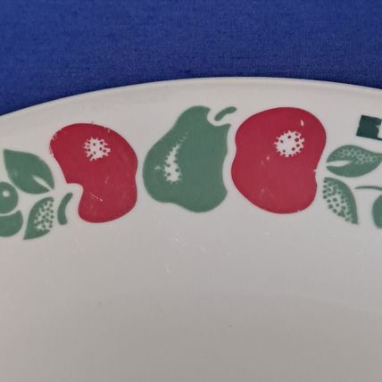 Vintage Lot 2 CORELLE By Corning FARM FRESH 10 1/4" DINNER PLATES salad