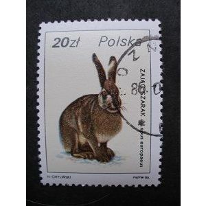 Poland 1986 - European Hare (Lepus europaeus) - CTO
