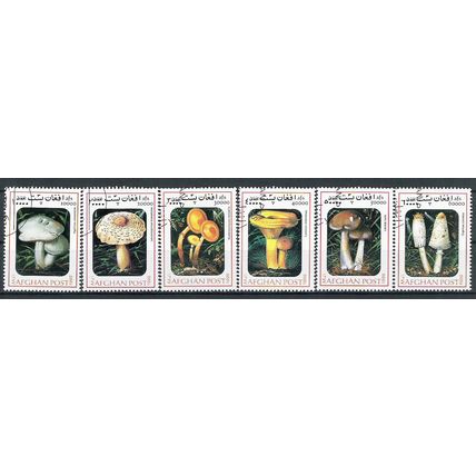 Afghanistan 1999 CHAMPIGNONS OBLITERE ( USED )