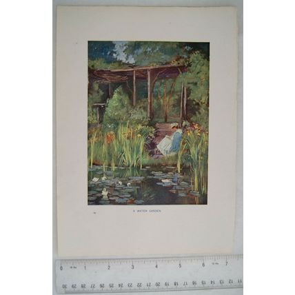 1905 coloured illustration: A Water Garden