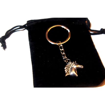 STUNNING SILVER METAL KEY RING WITH KEY CHAIN & VELVET GIFT BAG