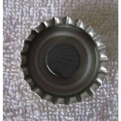 Lagunitas Brewing Company Crown Beer Bottle Cap Refrigerator Magnet