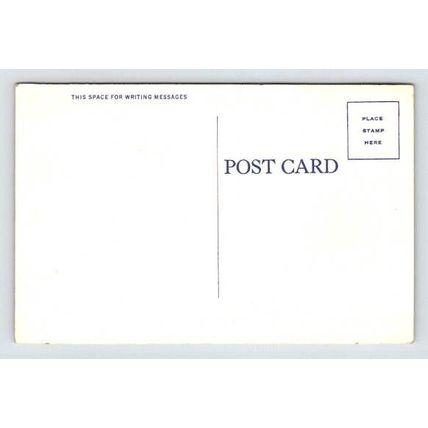 Send Me A Man - Comic, Humor Postcard