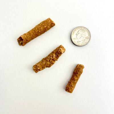 Fulgurite - FOSSILIZED LIGHTNING | Morocco[ ]