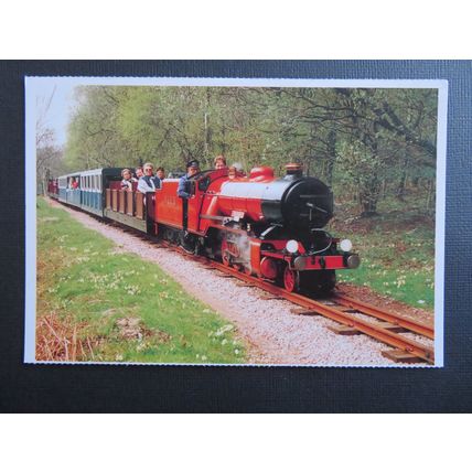 River Mite near Beckfoot, Ravenglass & Eskdale Miniature Railway Postcard #17