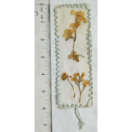 Vintage bookmark - dried yellow flowers