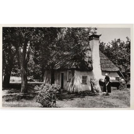 Lady Broom Sweeping Gelderland Veluwe Heidehut Holland RPC Postcard