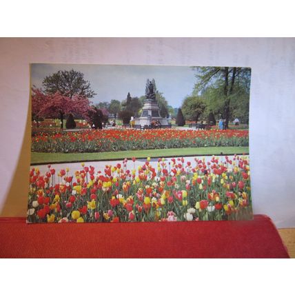 TULIP FESTIVAL, CANNON HILL PARK, BIRMINGHAM, WARWICKSHIRE unused postcard =