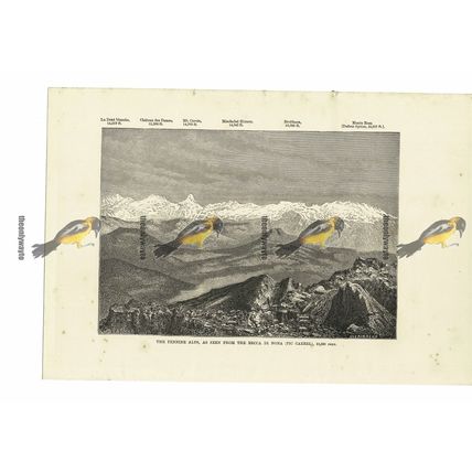 Pennine Alps, From Becca Di Nona (Pic Carrel), Italy, Book Illustration, 1880