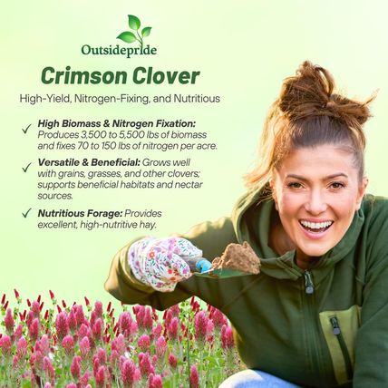 Outsidepride Crimson Clover Seeds - 10 Lbs. Annual, Nitrocoated, & Inoculated Gr