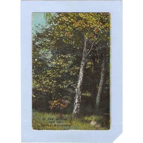 New Jersey East Orange In The Woods Top Of Orange Mountain~806