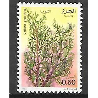 ALGERIE N° 762 YVERT OBLITERE ( USED )