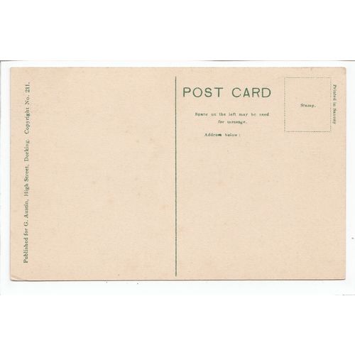 Box Hill Dorking Surrey Postcard 211
