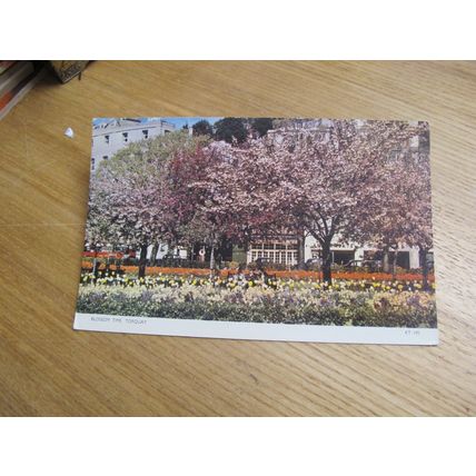 Jarrold Postcard - Blossom Time, Torquay - Devon
