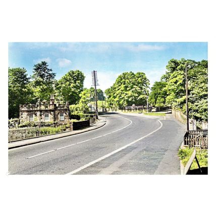 ptc8737 - Yorks' - Early view, West Lodge Country Park, Newmillerdam - print 6x4