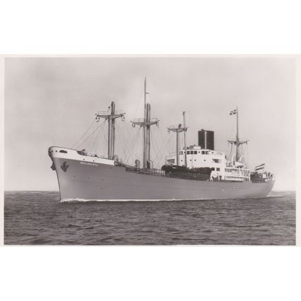 B333 M.S. MODJOKERTO . KONINKLIJKE ROTTERDAMSCHE LLOYD SHIPPING POSTCARD