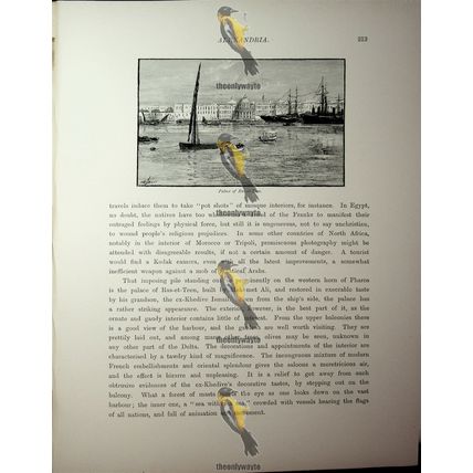 Palace Of Ras-Et-Teen, Alexandria, Egypt, Book Illustration (Print), 1890