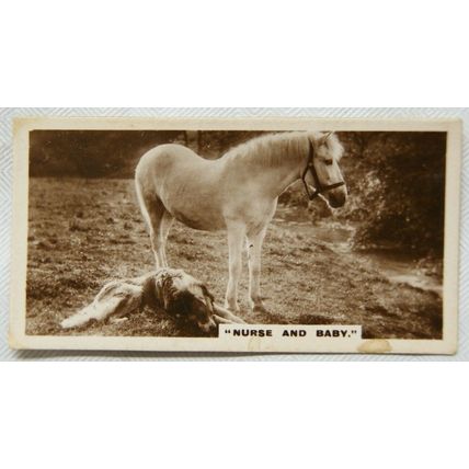 De Reszke Real Photographs card No. 12 Nurse and Baby