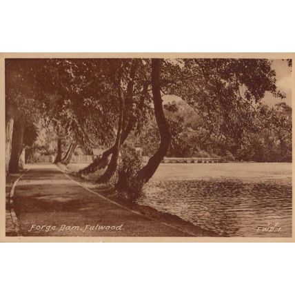 Forge Dam Sheffield Fulwood Antique Postcard