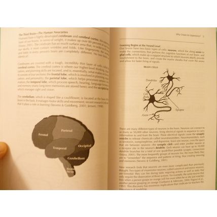 MAKING LEARNING COME ALIVE INTERACTIVE EXPERIENCES IN CLASSROOM DAVID SMOKLER