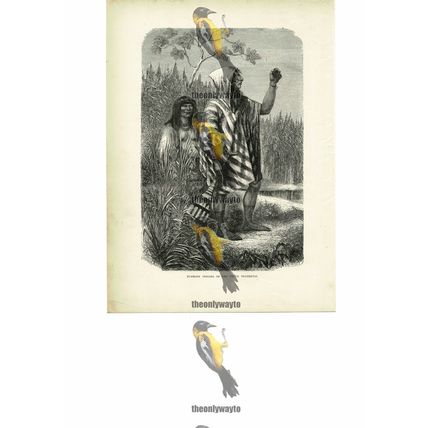 Zummate Indians Of The Upper Trombetas, Brazil, Book Illustration (Print), c1880
