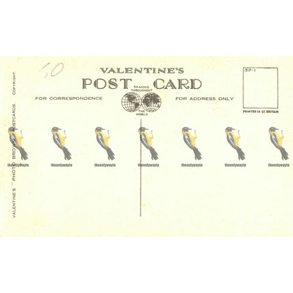 Plynlimon Pass, Wales, Valentines Photo Brown Postcard, 1932