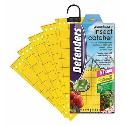 5 x Greenhouse Insect Catchers Traps Plant Pests Greenfly Adhesive Garden Fly