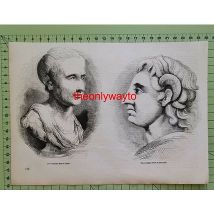 Cicero & Alexander, Busts, Book Illustration (Print), 1850