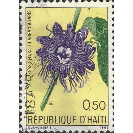 HAITI, FLOWER, Passiflora Quadrangularis, yellow 1965, 0.50gourde