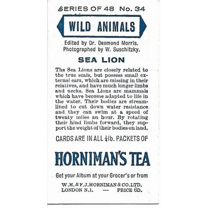 Wild Animals 1958 Horniman's Tea Card 34 - Sea Lion