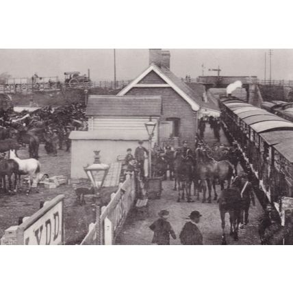 Lydd Station in 1909 Ashford Kent Railway Royal Horse Artillery Postcard