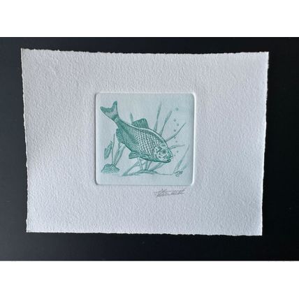 Belgique 1990 COB 2385 Epreuve d'artiste FDC Poisson Fish Fisch Bouvière vert