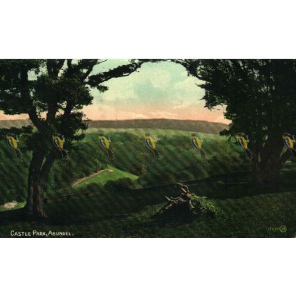 Castle Park, Arundel, Sussex, 15370 Valentines Series Postcard, 1900s
