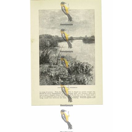 Arrow Heads Near Tewkesbury, Gloucs, England, Book Illustration, 1891