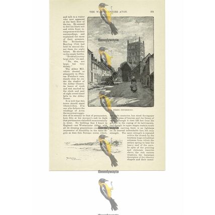 Mill Street, Tewkesbury, Gloucs, England, Book Illustration, 1891