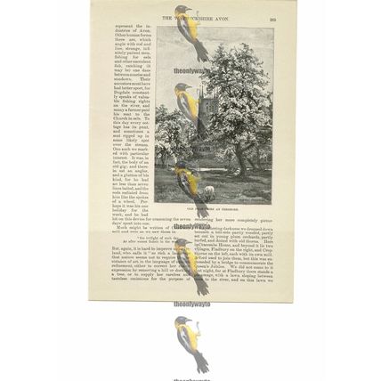 Near Eckington, Worcs, England, Book Illustration, 1891