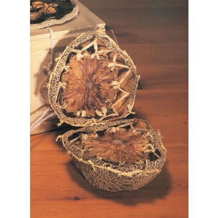 Juliet Prentice Postal Strike Subverted Containment Art Postcard