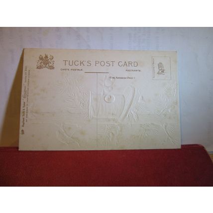 CHRISTMAS GREETINGS. unused antique postcard by Raphael Tuck Blue Tit birds =