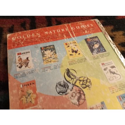 Little Golden Activity Book ABC Around The House (A) Edition All Intacted 1957