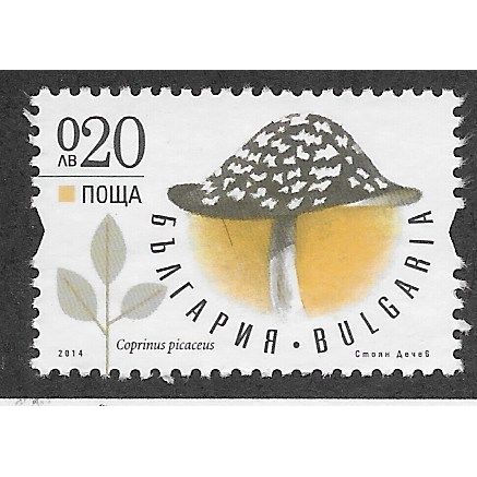 BUL 2014 20st 'FUNGI' FINE USED (EBID62-703)