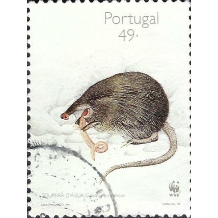 PORTUGAL, MAMMAL, Pyrenean Desman ,Galemys pyrenaicus II, white 1997, 49Esc