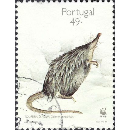 PORTUGAL, MAMMAL, Pyrenean Desman ,Galemys pyrenaicus IV, white 1997, 49Esc
