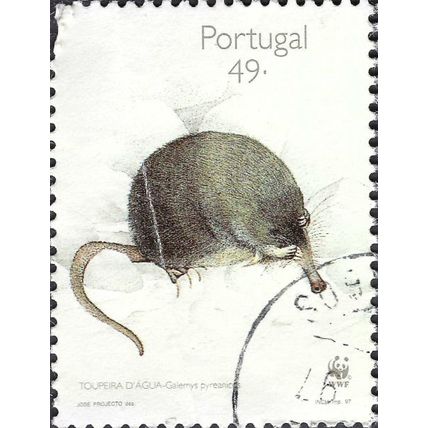 PORTUGAL, MAMMAL, Pyrenean Desman ,Galemys pyrenaicus III, white 1997, 49Esc